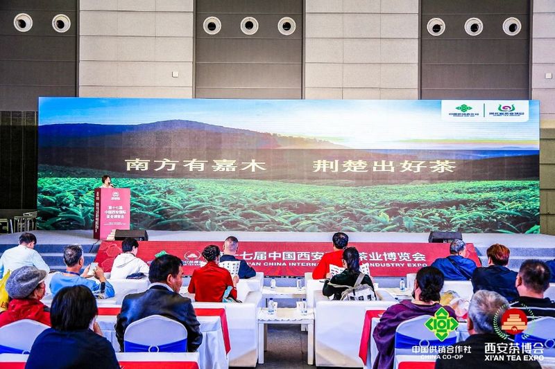 有关于湖北省茶业集团亮相第十七届中国西安国际茶业博览会的消息(7)