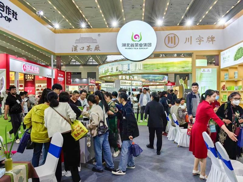 有关于湖北省茶业集团亮相第十七届中国西安国际茶业博览会的消息(3)