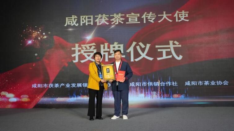 有关于2022年度陕西茶行业“十佳”评选结果揭晓的新闻(15)