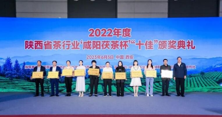 有关于2022年度陕西茶行业“十佳”评选结果揭晓的新闻(7)