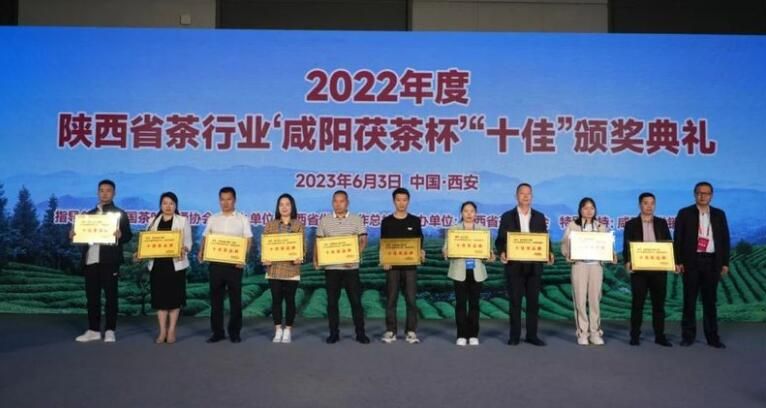 有关于2022年度陕西茶行业“十佳”评选结果揭晓的新闻(10)