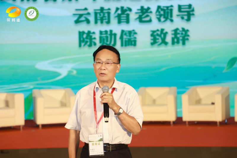 有关于云茶对话系列活动——“普洱茶与瓷器的对话”成功举办的最新消息(9)