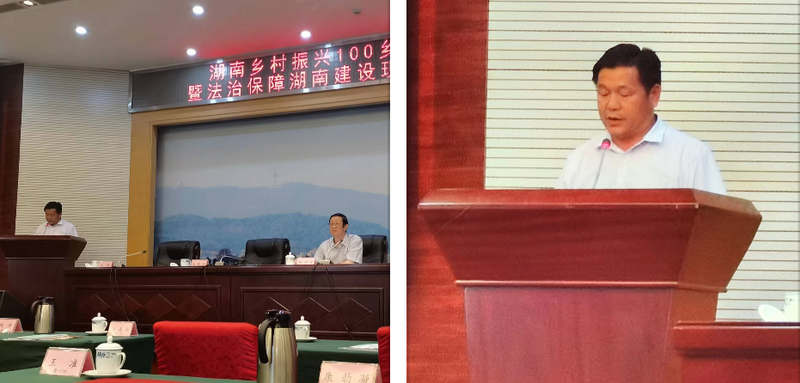 关于法治护航湖南建设现代化农业强省 《湖南省茶产业发展促进条例》领航示范的消息(2)