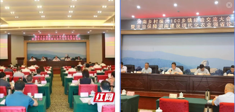 关于法治护航湖南建设现代化农业强省 《湖南省茶产业发展促进条例》领航示范的消息