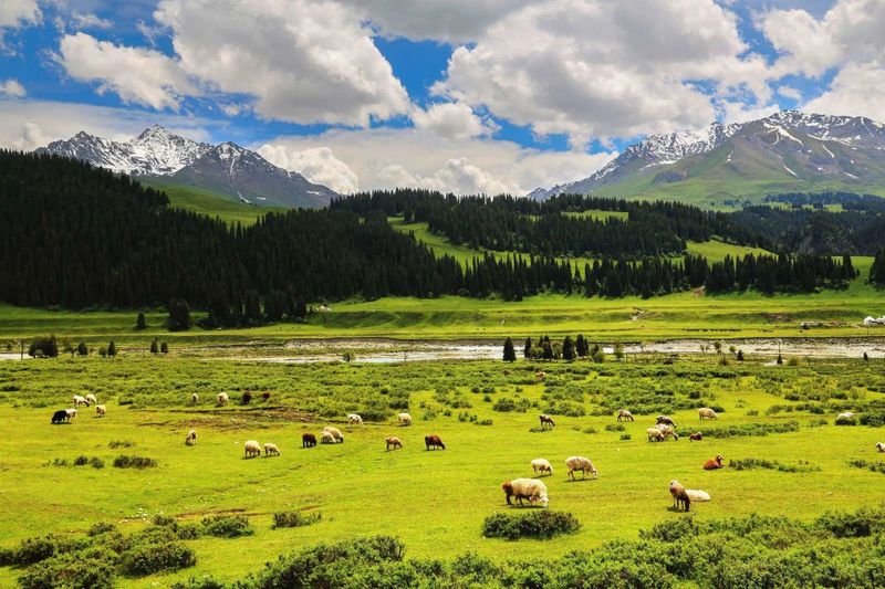 有关于湖北名优茶﹒健康边疆行，茶虾橘今天联手赴疆，内附企业名单的消息(7)