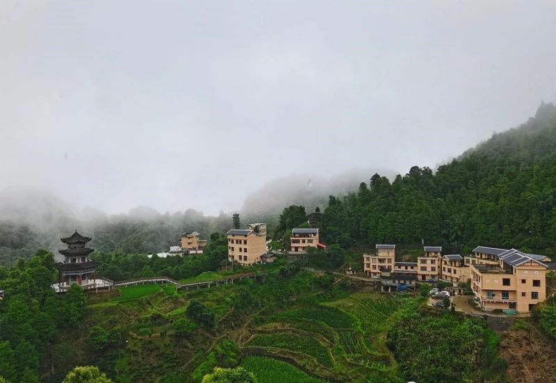 关于广西苍梧：千年六堡茶文化沉淀的山水画卷的内容(13)