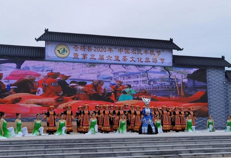 关于广西苍梧：千年六堡茶文化沉淀的山水画卷的内容(5)