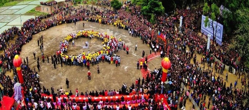 关于广西苍梧：千年六堡茶文化沉淀的山水画卷的内容(8)