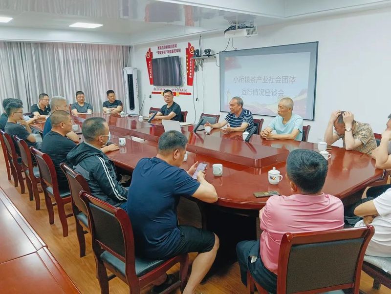 关于南平市海峡茶业交流协会到小桥镇调研茶产业发展情况的内容(1)