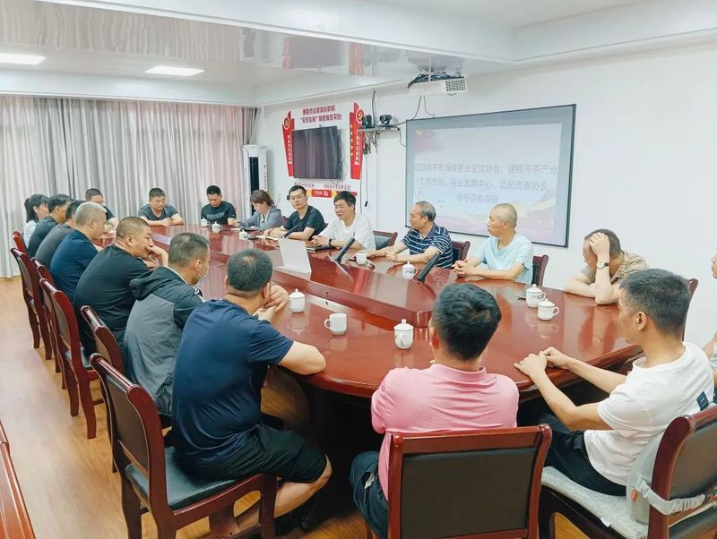 关于南平市海峡茶业交流协会到小桥镇调研茶产业发展情况的内容