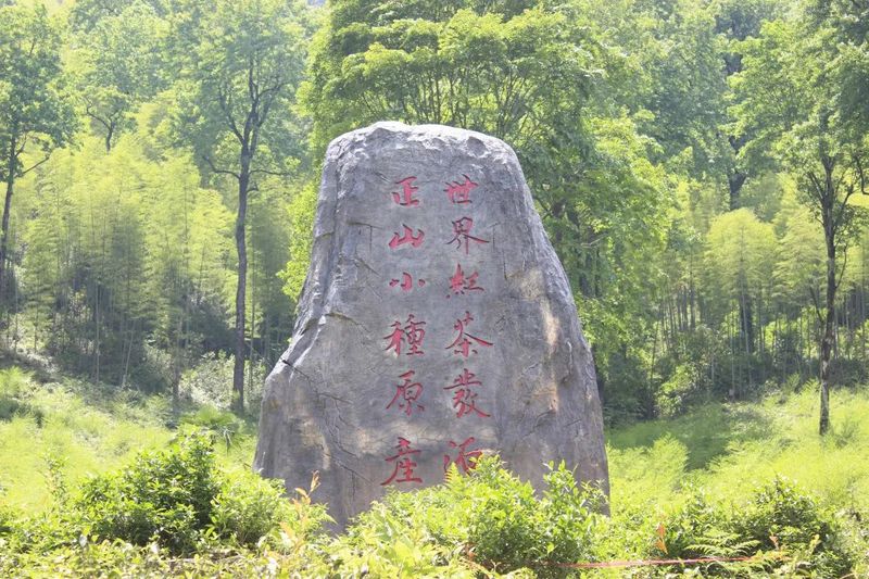 有关于生态茶区再起航！“中国红”即将飘香国际盛会！的消息