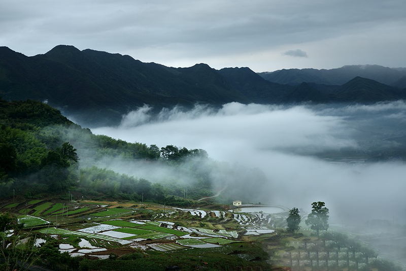 关于让生态好茶“走出去香起来”：松溪县深化茶旅融合推动茶产业高质量发展的相关信息(2)