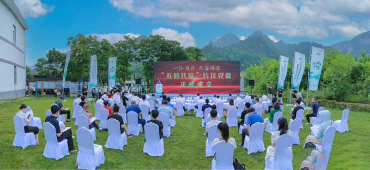 有关于五村抱团共“富”做大做强镜岭镇区域的茶产业的相关内容