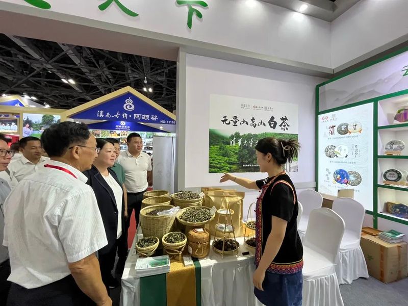 关于无量山高山白茶热度升级!2023北京国际茶业展受热捧的消息(1)