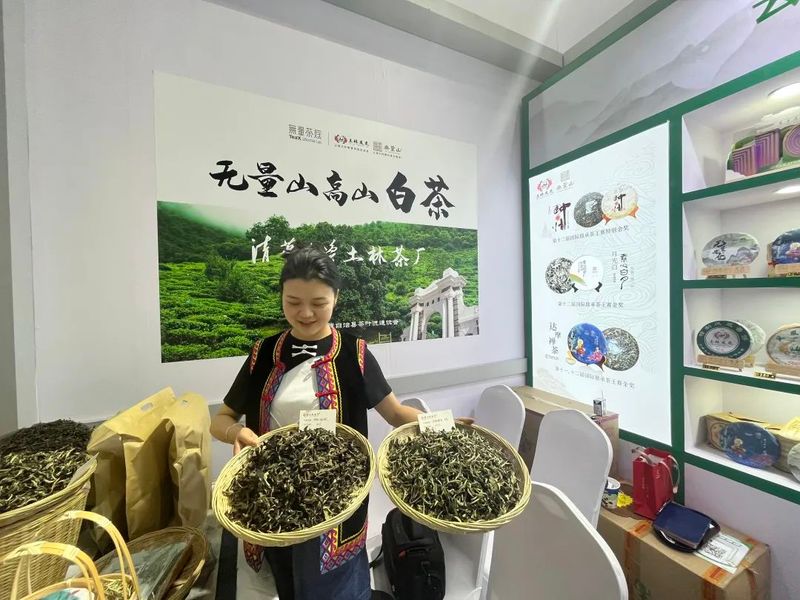 关于无量山高山白茶热度升级！2023北京国际茶业展受热捧的消息(7)
