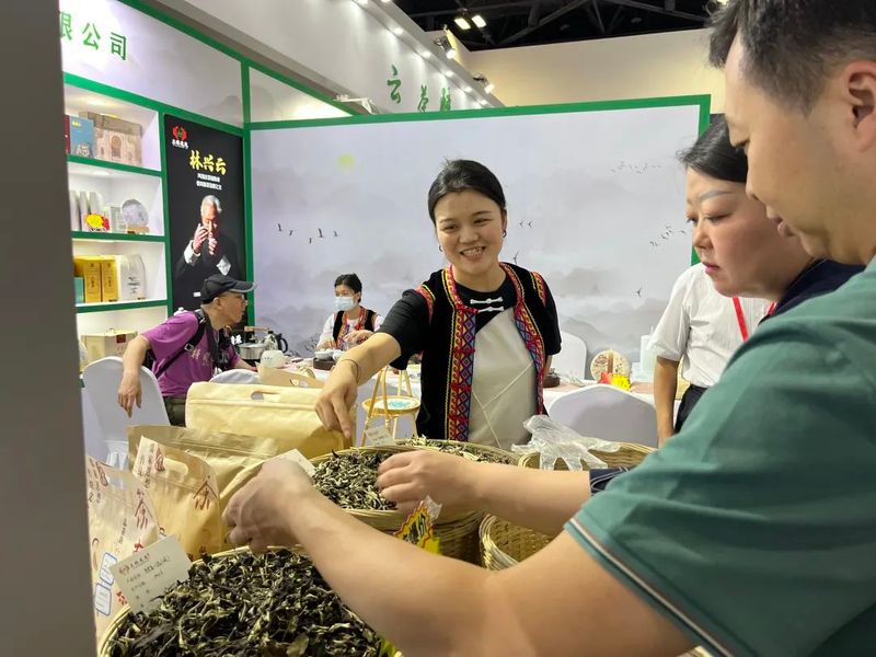 关于无量山高山白茶热度升级！2023北京国际茶业展受热捧的消息(3)