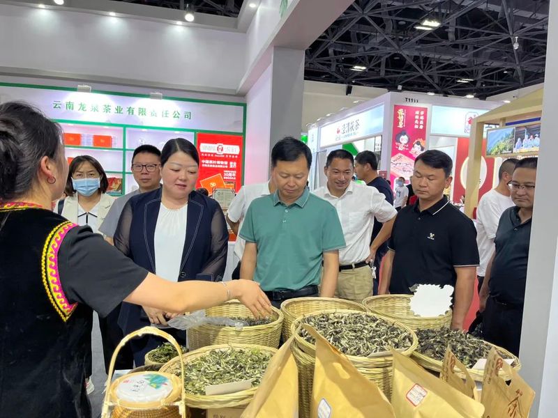 关于无量山高山白茶热度升级！2023北京国际茶业展受热捧的消息(2)