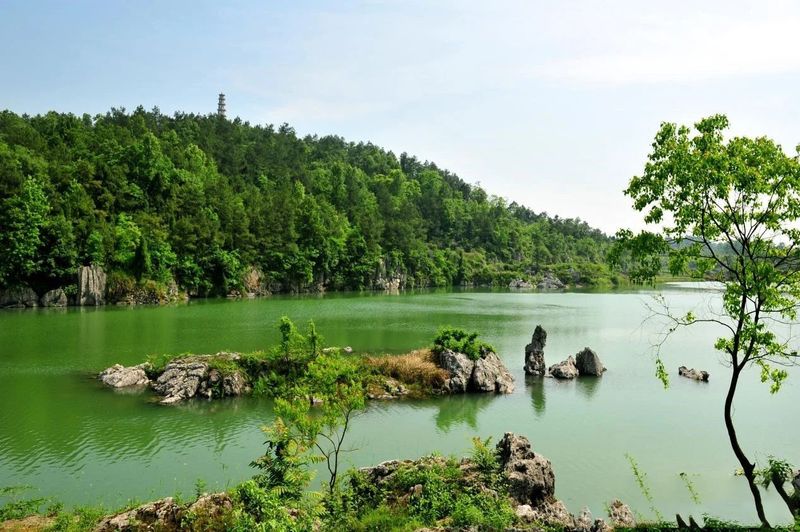 关于湖南安化：世界冰碛岩独宠之地孕育了“中国茶文化的化身”——安化黑茶的消息(5)