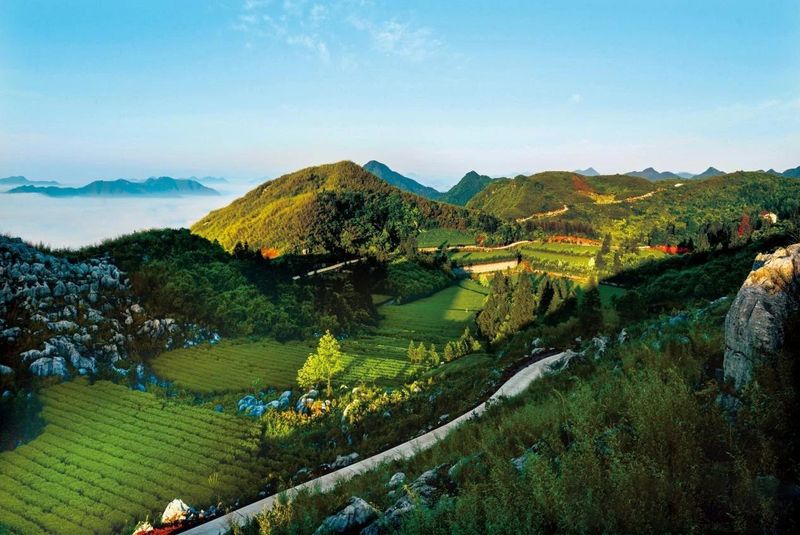 关于湖南安化：世界冰碛岩独宠之地孕育了“中国茶文化的化身”——安化黑茶的消息(19)