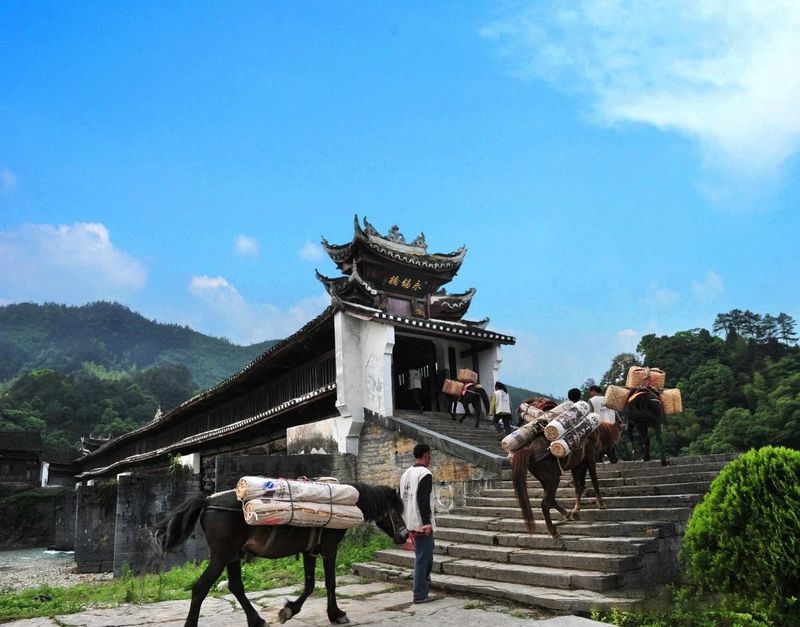 关于湖南安化：世界冰碛岩独宠之地孕育了“中国茶文化的化身”——安化黑茶的消息(8)