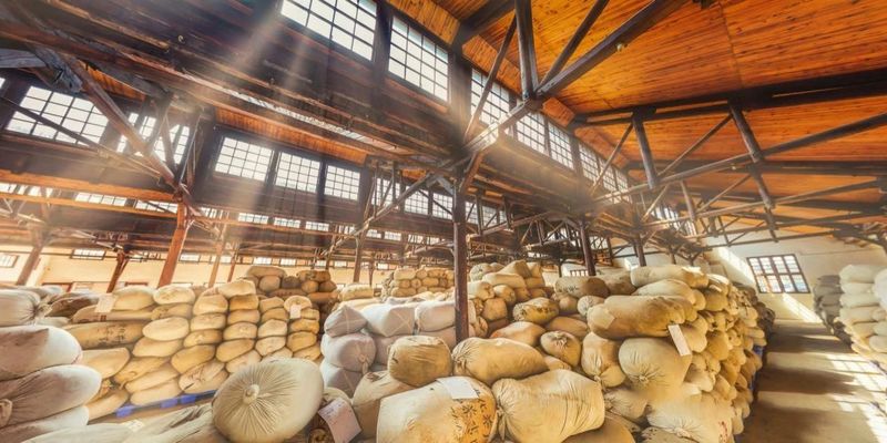 关于湖南安化：世界冰碛岩独宠之地孕育了“中国茶文化的化身”——安化黑茶的消息(21)