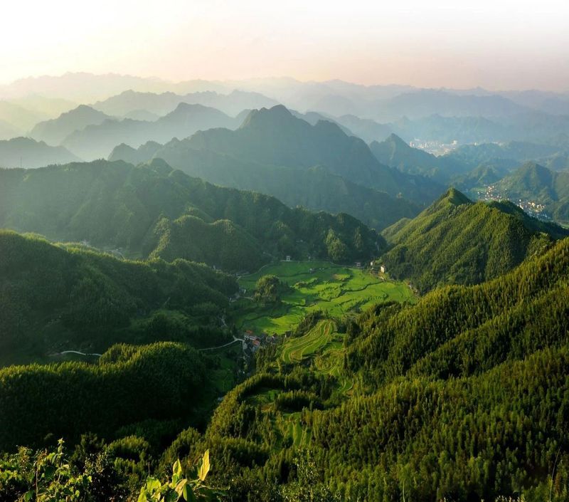 关于湖南安化：世界冰碛岩独宠之地孕育了“中国茶文化的化身”——安化黑茶的消息(4)