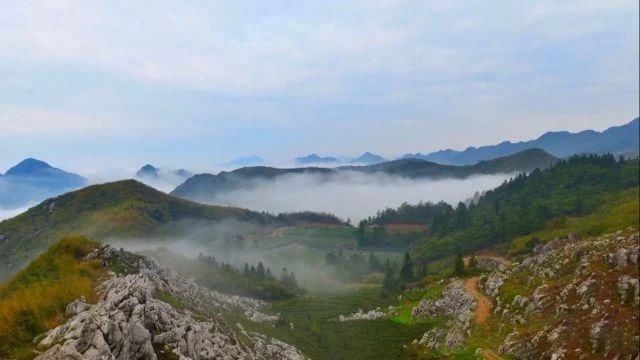 关于湖南安化：世界冰碛岩独宠之地孕育了“中国茶文化的化身”——安化黑茶的消息(13)