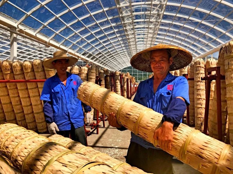 关于湖南安化：世界冰碛岩独宠之地孕育了“中国茶文化的化身”——安化黑茶的消息(22)