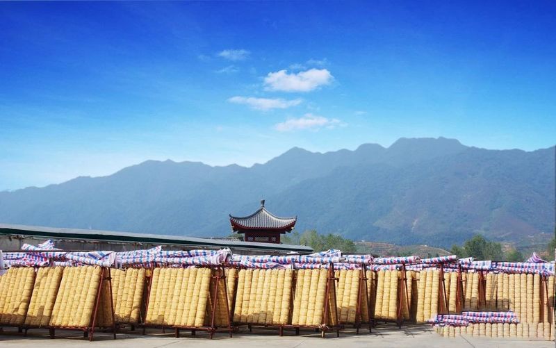 关于湖南安化：世界冰碛岩独宠之地孕育了“中国茶文化的化身”——安化黑茶的消息(23)