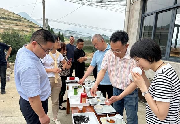 关于中茶院科技特派员在富阳开展龙井茶加工及品质评价培训活动的相关信息(1)