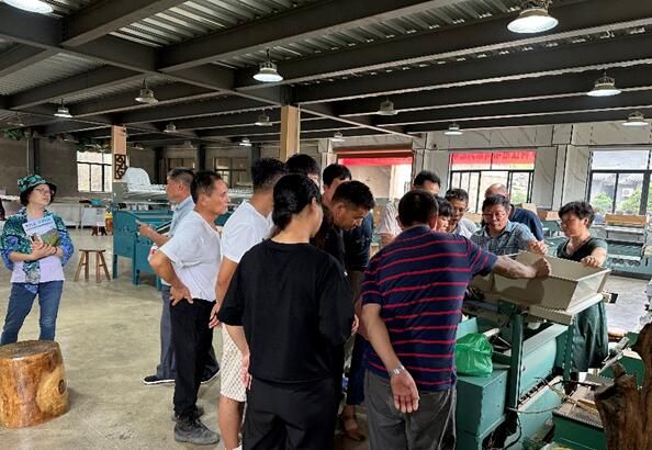 关于中茶院科技特派员在富阳开展龙井茶加工及品质评价培训活动的相关信息