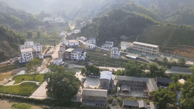 有关于整合财政支农资金1.4亿元 推动六堡茶产业发展的新闻(5)