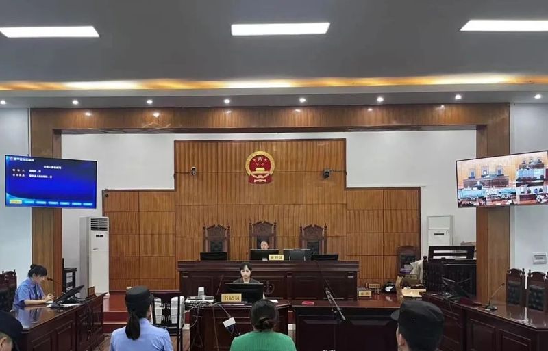 关于黎平法院：“七措施”助力“黎平茶”产业高质量发展的资讯(3)