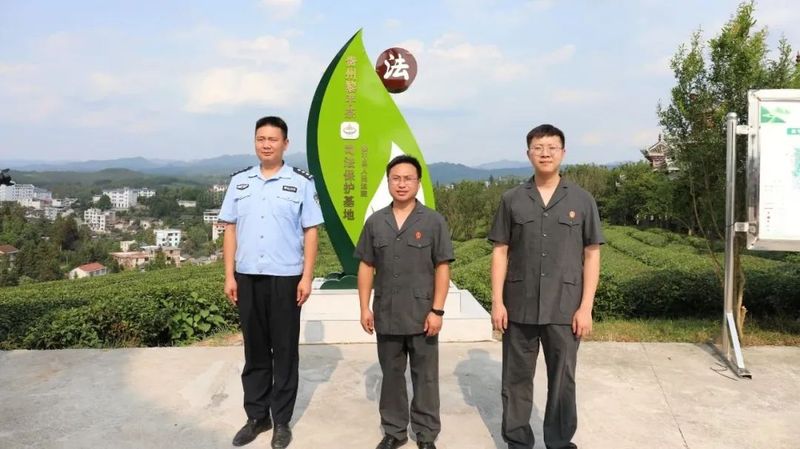 关于黎平法院：“七措施”助力“黎平茶”产业高质量发展的资讯(2)