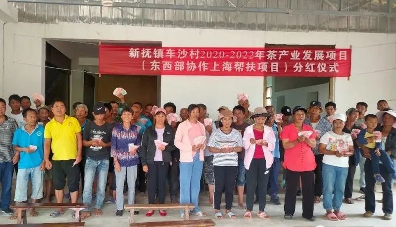 有关于墨江新抚镇车沙村：茶产业助力集体农户“双增收”的内容
