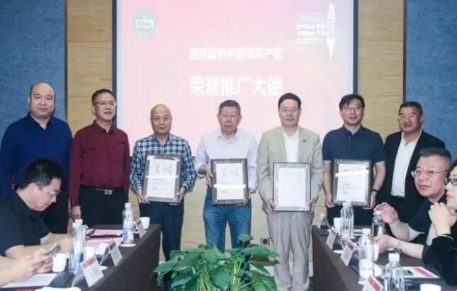 有关于2023西双版纳普洱茶产区推介暨茶酒融合文化交流会在西安举行的相关信息(3)