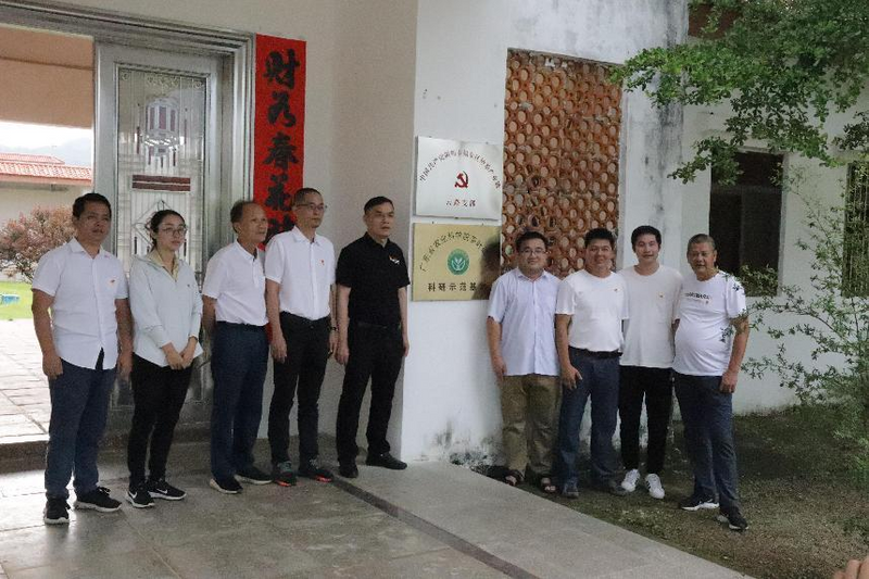 有关于揭东区炒茶产业链党组织开展技能培训助推炒茶产业链高质量发展的新闻(3)