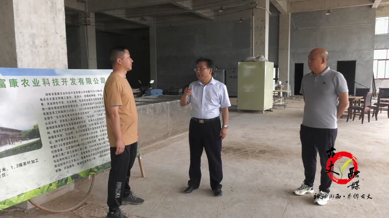 关于邓晓东深入红石林镇调研茶产业发展情况的新闻(1)