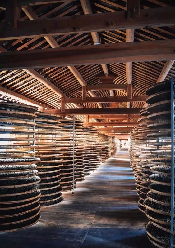 关于福建政和：政是好风光，和我一起游千年白茶县的相关信息(7)