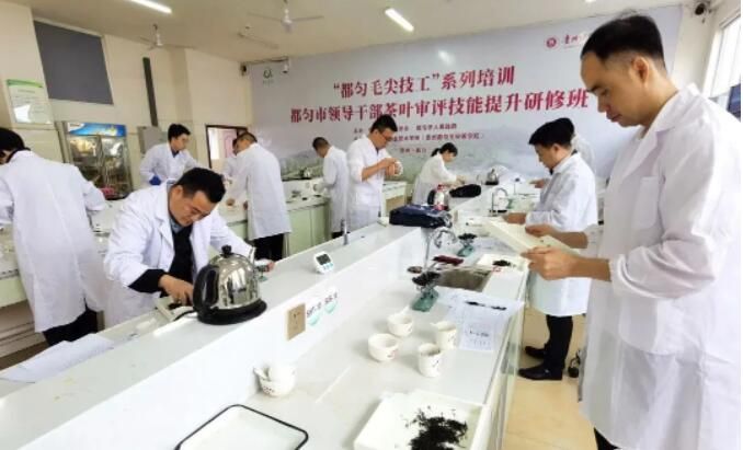 关于黔茶竞技，都匀市喜获佳绩的资讯(3)