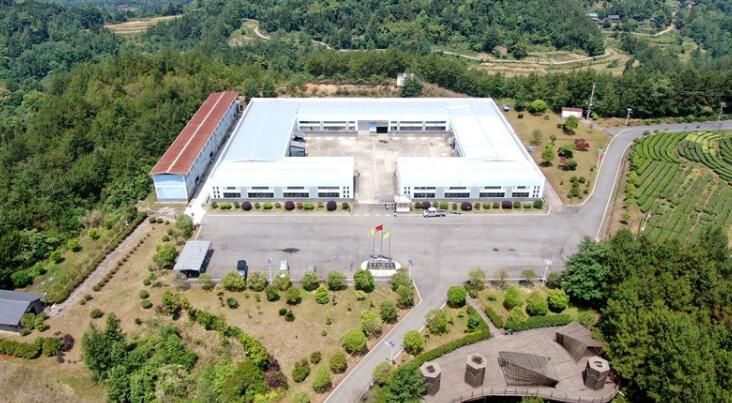 关于小茶叶变“黄金叶” “巴茶”迈入现代化产业行列的最新消息(5)