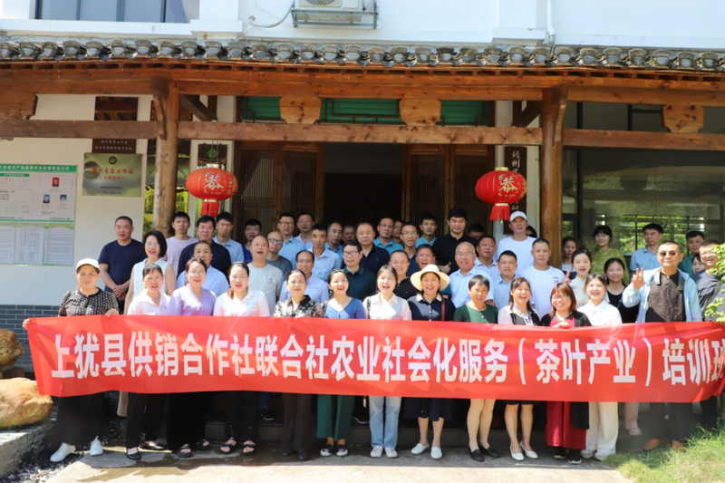关于上犹县供销联社举办农业社会化服务（茶叶产业）培训班的最新消息