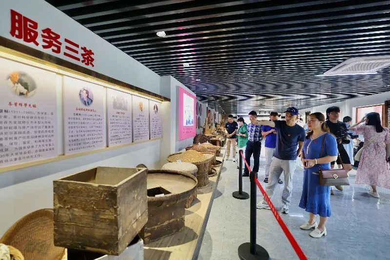 有关于世界地质公园白云山“坦洋工夫”茶博物馆开馆，500多件珍贵藏品等你来鉴赏的资讯