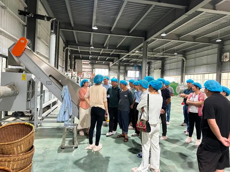 有关于安仁县金紫仙镇举办茶叶产业发展培训班的相关内容(6)