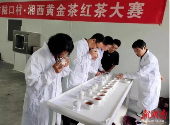 关于2023年吉首隘口村•湘西黄金茶红茶大赛助力湖南省夏季“村晚”的相关信息(1)