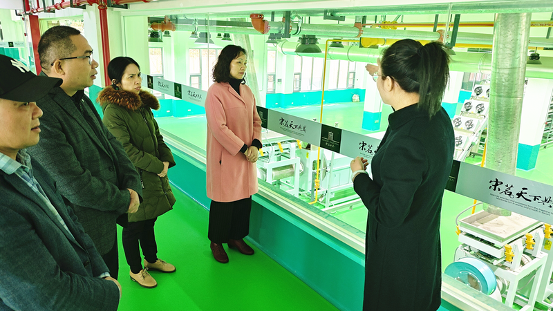 有关于兴业人大：“三个抓实”助力“兴业茶”产业高质量发展的消息