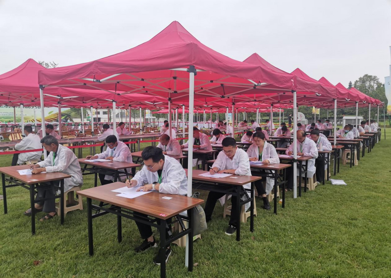 关于长沙市2023年“星城杯”手工制茶技能竞赛举行的新闻(1)