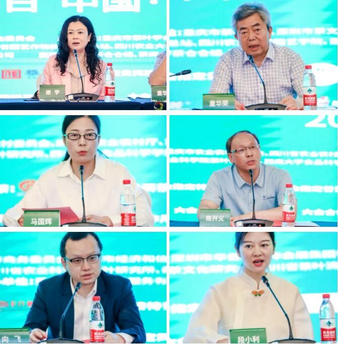 关于第17届中国（重庆）国际茶产业博览会即将盛大开幕！的最新消息(1)