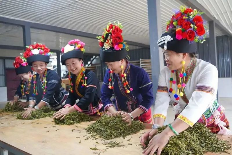有关于老曼峨：千年古村 因茶而变的相关信息