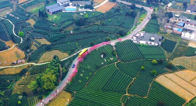 关于推动交旅融合发展，名山交通这样干→的信息